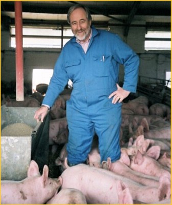 David Burch - New President of the Pig Veterinary Society