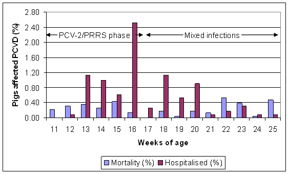 Effects of PMWS (PCV-2) and PRRS mixed infection in a UK finishing shed