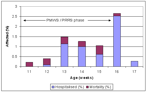 PMWS and PRRSv infection in finishing pigs - barn mortality (1.7%) and hospitalisation (5.6%) of clinically affected pigs - half the hospitalised pigs died subsequently