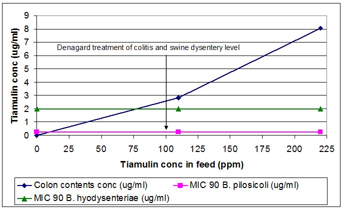 Concentration of tiamulin in the colon in relation to the MIC 90 for B. pilosicoli & B. hyodysenteriae following in-feed administration