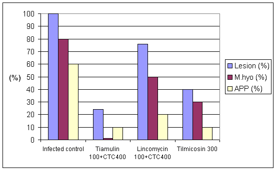 Tiamulin plus chlortetracycline in the reduction of pneumonic lesions and elimination of M. hyopneumoniae and A. pleuropneumoniae
