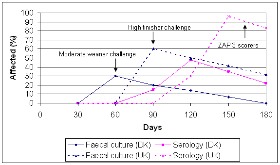 S. Typhimurium isolation and seroconversion model - Denmark