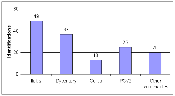 Identification of various diarrhoea causing agents from Danish pigs aged 8-16 weeks