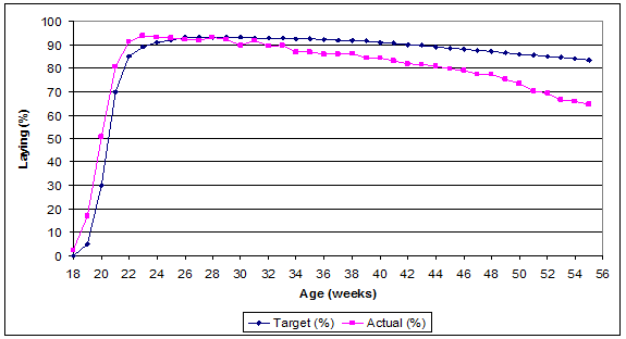 Effect of B. innocens on free-range layer production