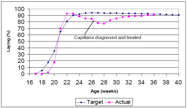 Egg drop associated with Capillaria the thread worm
