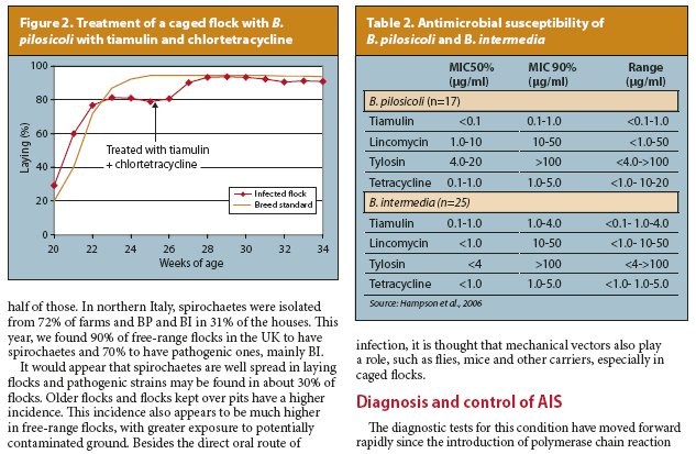 4 Avian Intestinal Spirochaetosis Re-emerges - Poultry International article November 2006