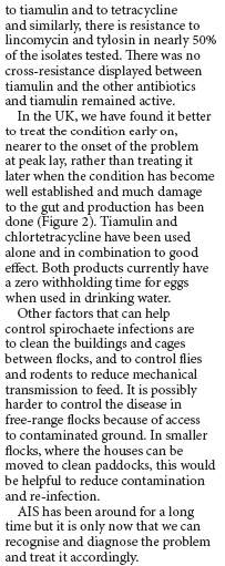 6 Avian Intestinal Spirochaetosis Re-emerges - Poultry International article November 2006