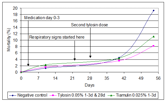 Broiler mortality following a pathogenic MS and secondary E. coli infection in comparison with prophylactically treated controls