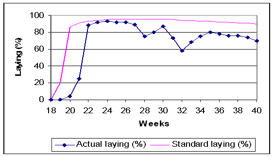 Avian Vibrionic Hepatitis - Avian infectious hepatitis - Flock and standard mortality (%) on a weekly basis