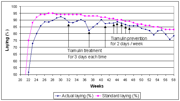 Repeated drops in egg production associated with reinfection with B. intermedia following treatment and prevention with tiamulin