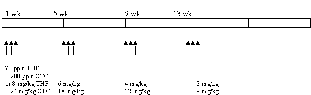 Poultry mycoplasma infection graph